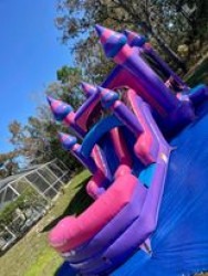 318755305 1746689099047456 1702086461941624290 n 1671067084 Purple Rain Bounce House With Double Slide Combo